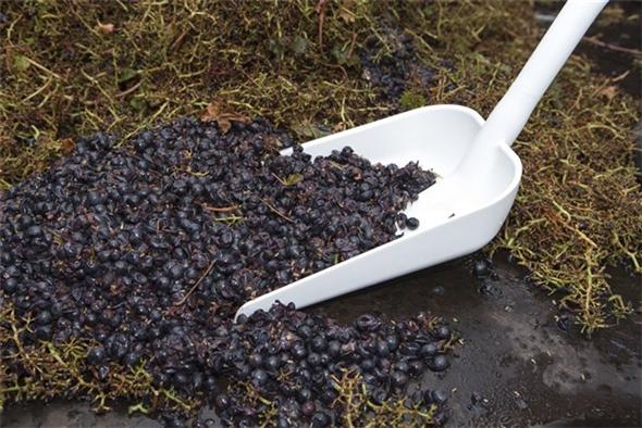 Vikan Ergonomic Shovel - Long Handle - Small Blade