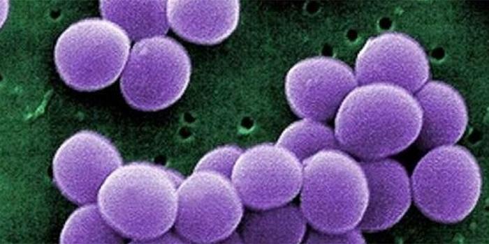 DEFRA Approved Disinfectants
