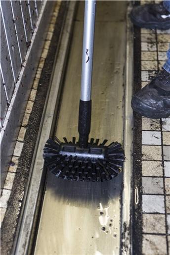 Vikan Hard Tank Brush 205 mm