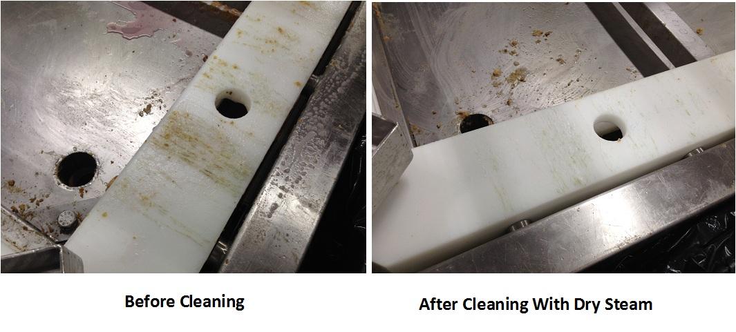 STI Gaiser 4000 Dry Steam Cleaner
