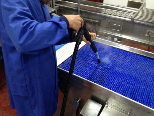 STI Gaiser 18000 Dry Steam Cleaner 
