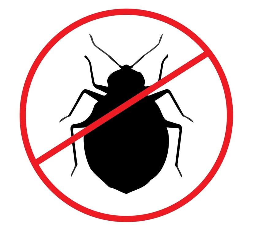 Dry Steam Bed Bug Treatment