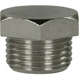 Brass Plug 3/4"
