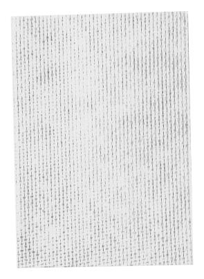 Lavette Super Antibacterial Cloths Pack 25 White