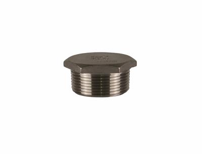 Stainless Steel Hexagonal Plug 1½"
