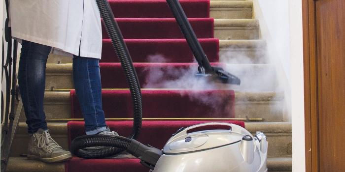 Domestic Dry Steam Cleaners