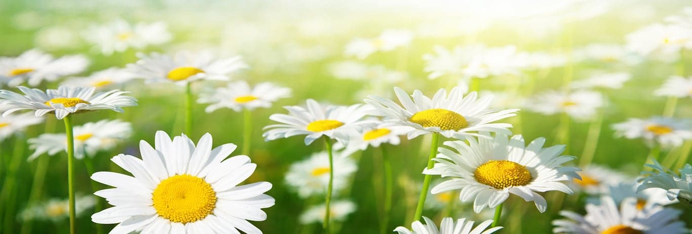 Ecologically Friendly Products