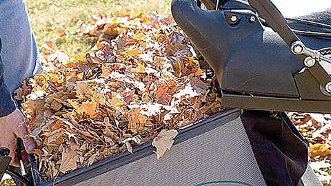 Billy Goat MV601SPDS Self-Propelled Leaf & litter Vacuum