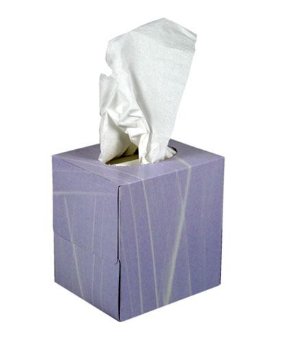 Facial Tissues Cube Box Single