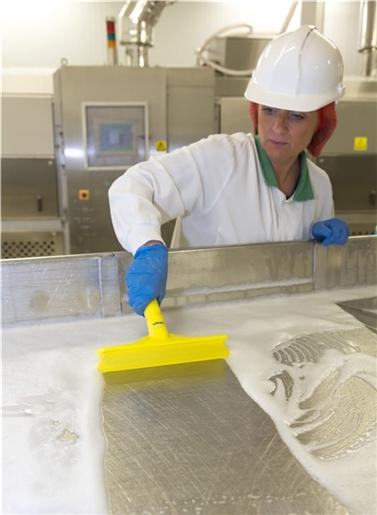 Vikan Ultra Hygiene Hand Squeegee, 250 mm