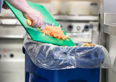 Compostable Food Waste Bags, Pack Of 500