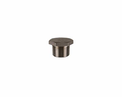 Stainless Steel Hexagonal Plug 1/2"