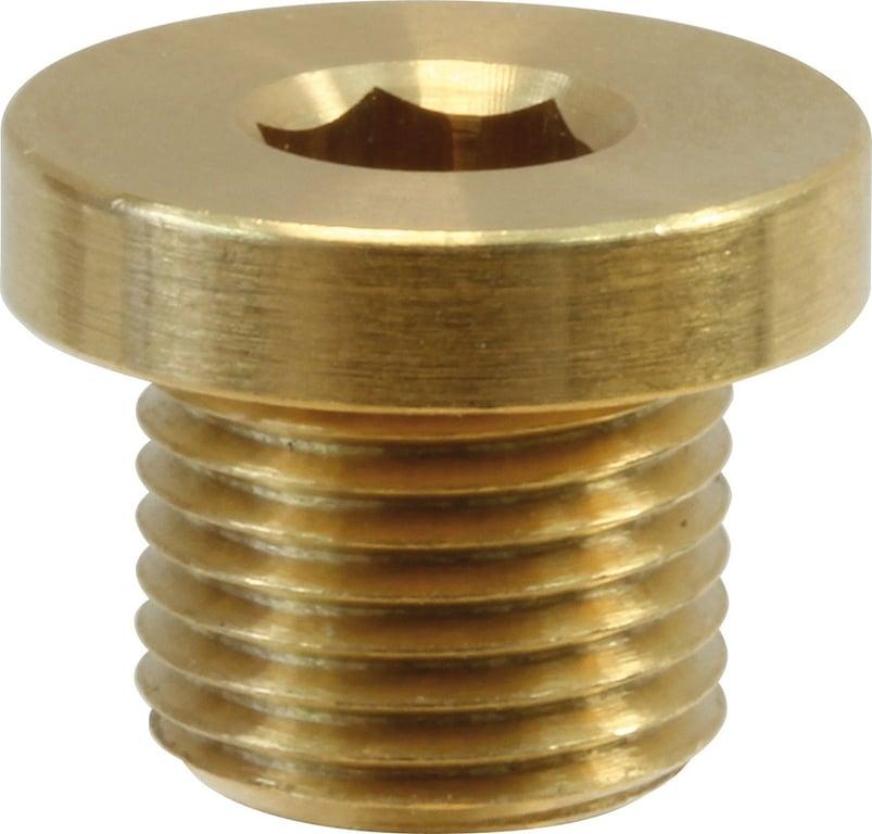 Brass Plug 1/4"