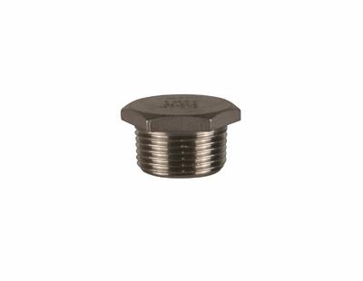 Stainless Steel Hexagonal Plug 1"